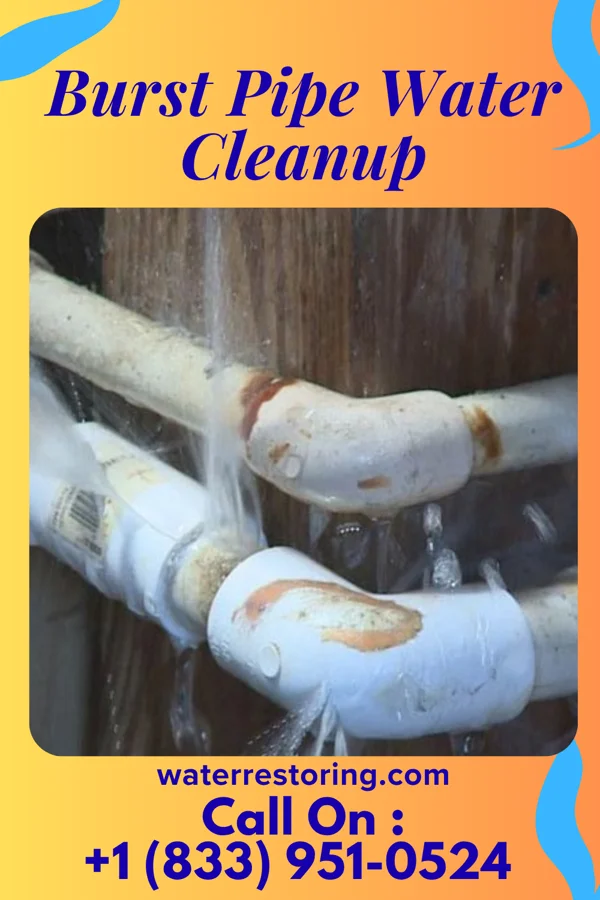 Burst Pipe Water Cleanup in Caryville, FL