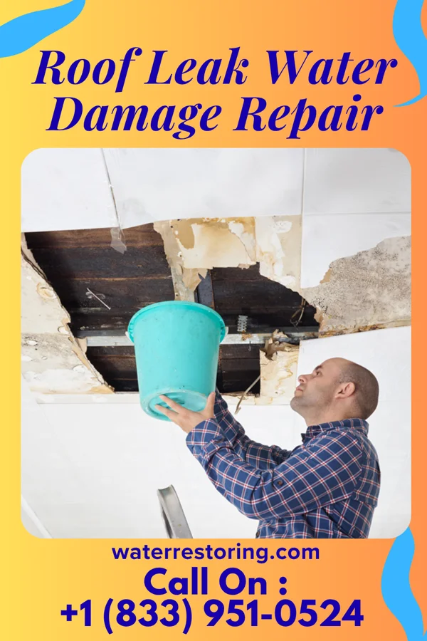 Roof Leak Water Damage Repair in Caryville, FL