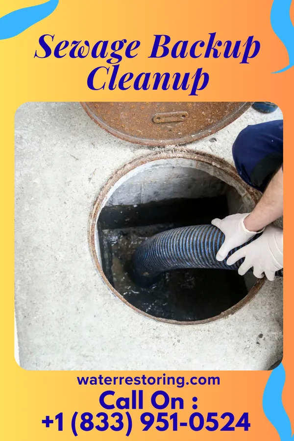 Sewage Backup Cleanup in Caryville, FL