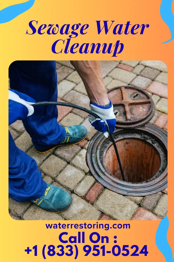 Sewage Water Cleanup in Caryville, FL